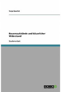 Bauernaufstände und bäuerlicher Widerstand im Frühmittelalter