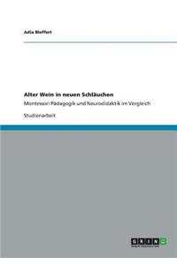 Montessori-Pädagogik und Neurodidaktik im Vergleich