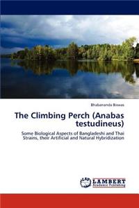 Climbing Perch (Anabas testudineus)