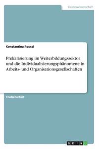 Prekarisierung im Weiterbildungssektor und die Individualisierungsphänomene in Arbeits- und Organisationsgesellschaften