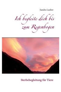 Ich begleite dich bis zum Regenbogen