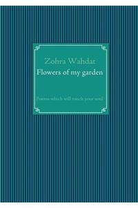 Flowers of my garden