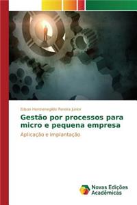 Gestão por processos para micro e pequena empresa