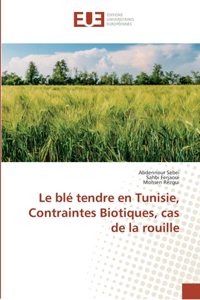 blé tendre en Tunisie, Contraintes Biotiques, cas de la rouille