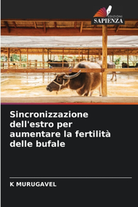 Sincronizzazione dell'estro per aumentare la fertilità delle bufale