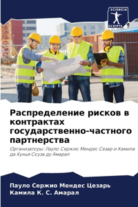Распределение рисков в контрактах госуд