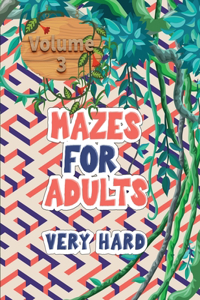 Mazes for adults