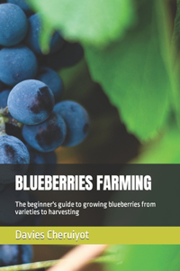 Blueberries Farming