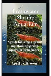 Freshwater Shrimp Aquarium