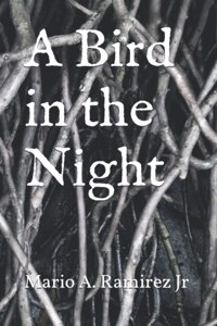 Bird in the Night