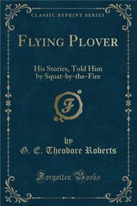 Flying Plover