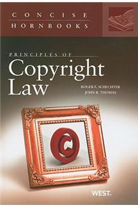 Principles of Copyright Law