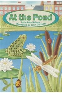 At the Pond