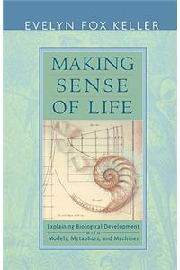 Making Sense of Life