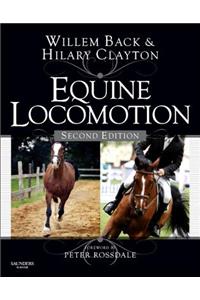 Equine Locomotion