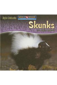 Skunks Are Night Animals