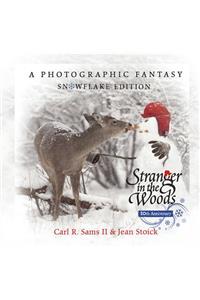 Stranger in the Woods