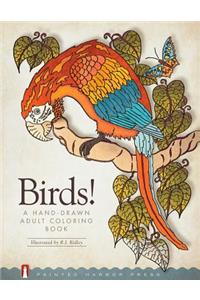 Birds!