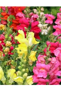 Snapdragon Gardening Journal