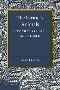 Farmer's Animals