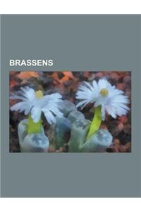 Brassens