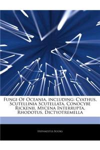 Articles on Fungi of Oceania, Including: Cyathus, Scutellinia Scutellata, Conocybe Rickenii, Mycena Interrupta, Rhodotus, Dictyotremella