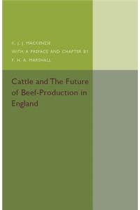 Cattle and the Future of Beef-Production in England