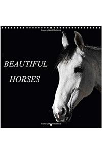 Beautiful Horses 2017