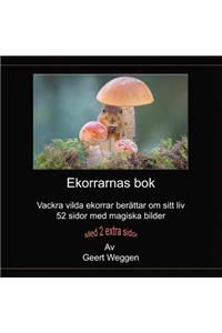 Ekorrarnas bok