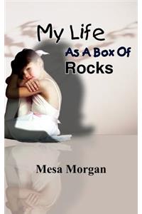 My Life As A Box Of Rocks