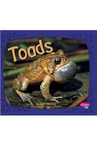 Toads