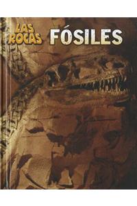 Fósiles