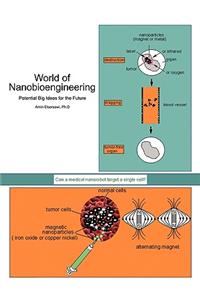 World of Nanobioengineering