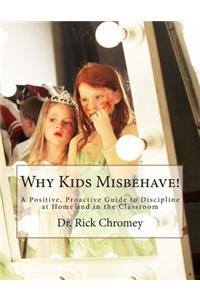 Why Kids Misbehave!