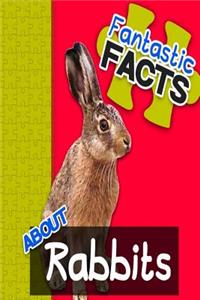 Fantastic Facts about Rabbits