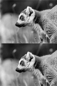 Double Exposure Lemur Journal