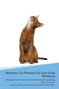 Abyssinian Cat Presents