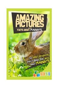 Amazing Pictures and Facts about Rabbits