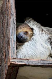 Sleeping Sloth Journal