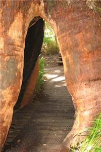 Tree in the Valley of Giants Walpole Western Australia Journal