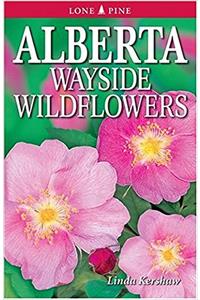 Alberta Wayside Wildflowers