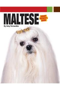 Maltese