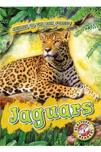 Jaguars