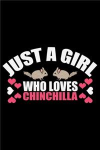 Just a Girl Who Loves CHINCHILLA