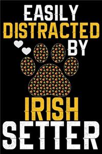 Easily Distracted by Irish Setter