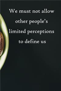 We must not allow other people's limited perceptions to define us