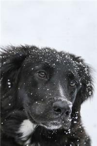 Labrador Retriever Dog Pup Puppy Doggie Notebook Bullet Journal Diary Composition Book Notepad - Snowflakes