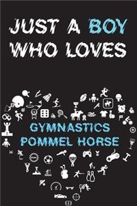 Just A Boy Who Loves GYMNASTICS POMMEL HORSE Notebook