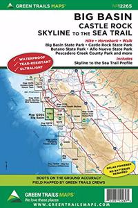 Big Basin, CA No. 1226s
