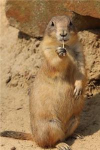 Black-Tailed Prairie Dog Checking Things Out Journal